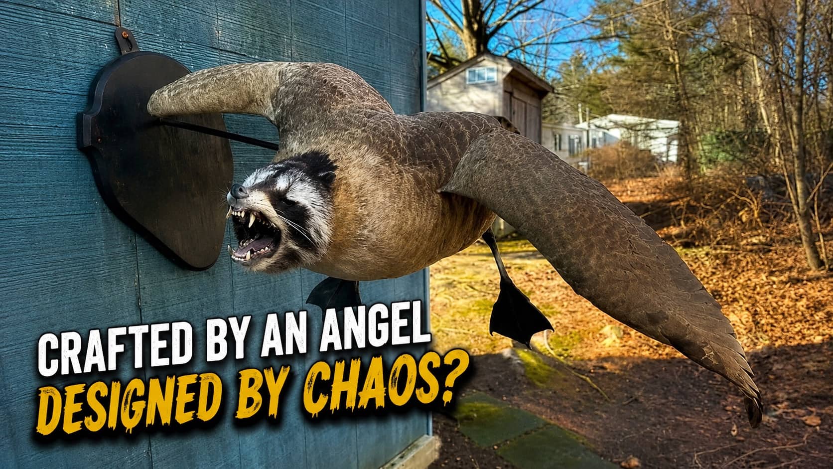 Taxidermy hybrid of a raccoon head on flying goose body outdoors showing terrible idea.