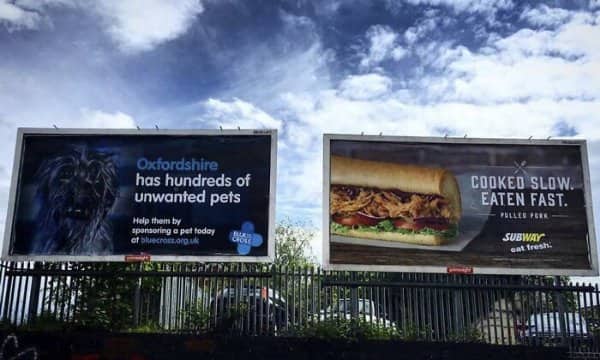 An animal charity billboard about unwanted pets sits beside a sandwich advert about slow cooking.