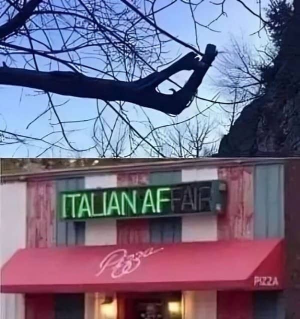 Two panel image pairs a bare tree branch with a pizza sign missing half its letters.