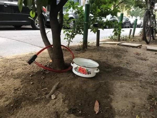 Enamel floral pot on dirt under tree locked with bicycle cable in Balkan meme.