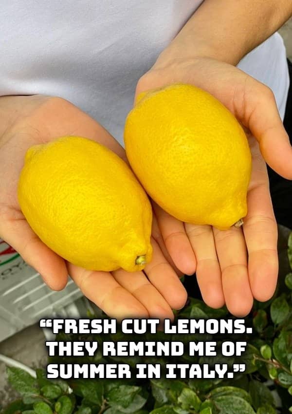 Pair of hands holding two large fresh lemons representing crisp citrus scents and smells.