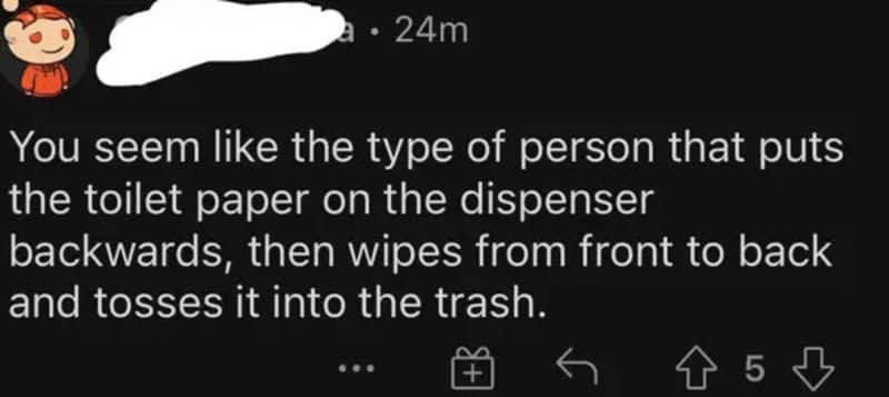Reddit comment creatively calling someone stupid by describing absurd toilet paper usage habit