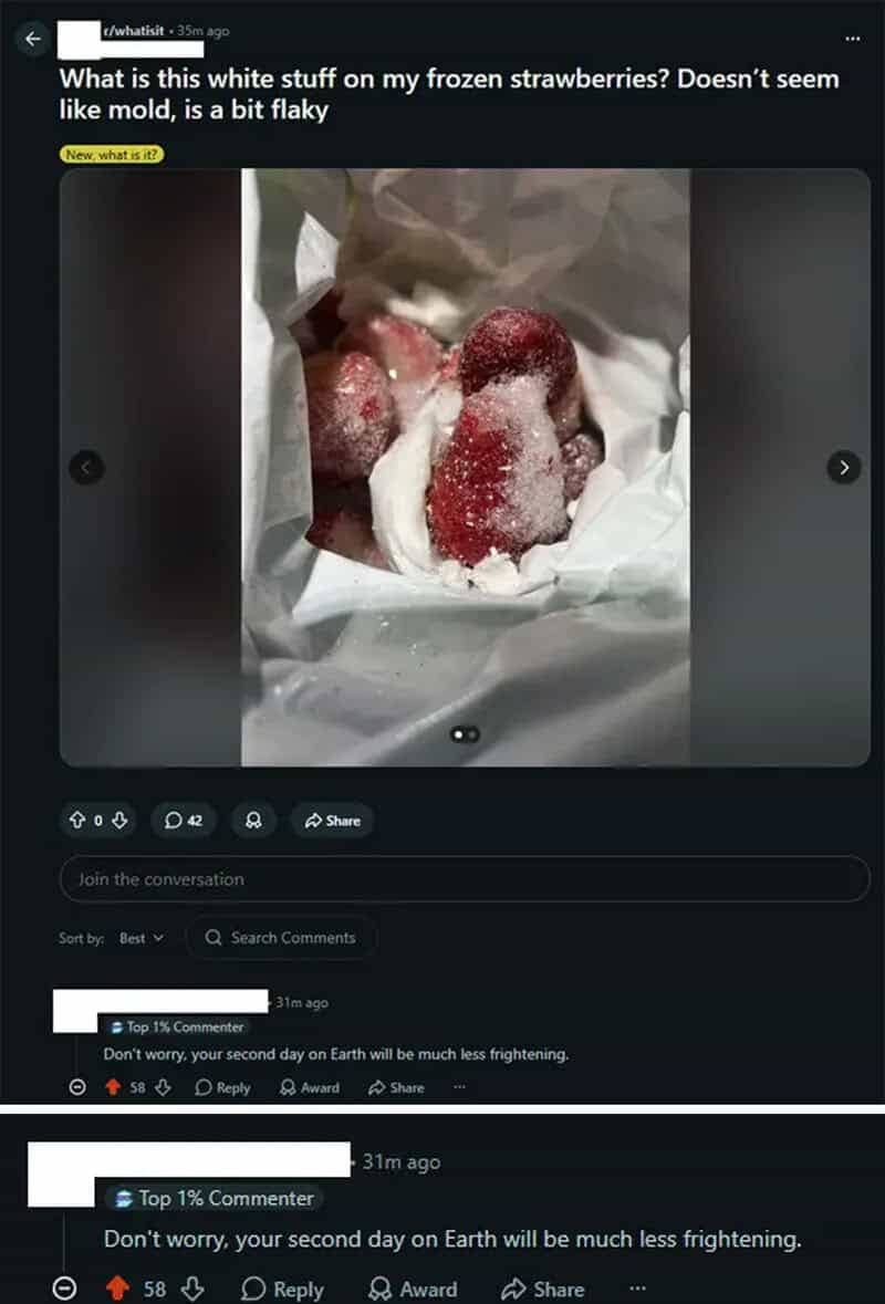 Sarcastic Reddit reply mocking a user asking what the frost on frozen strawberries is.