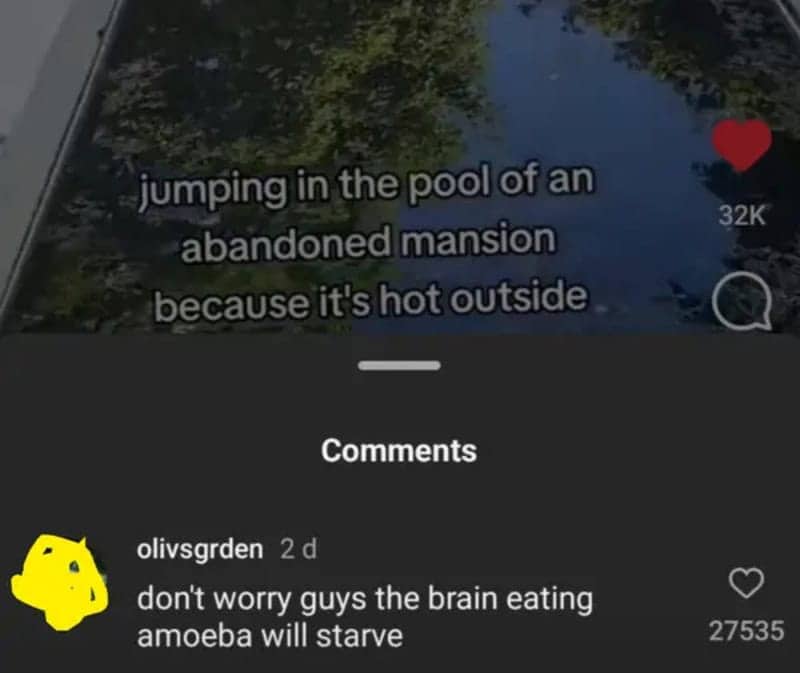 Sarcastic video comment claiming a brain eating amoeba would starve inside the creator.