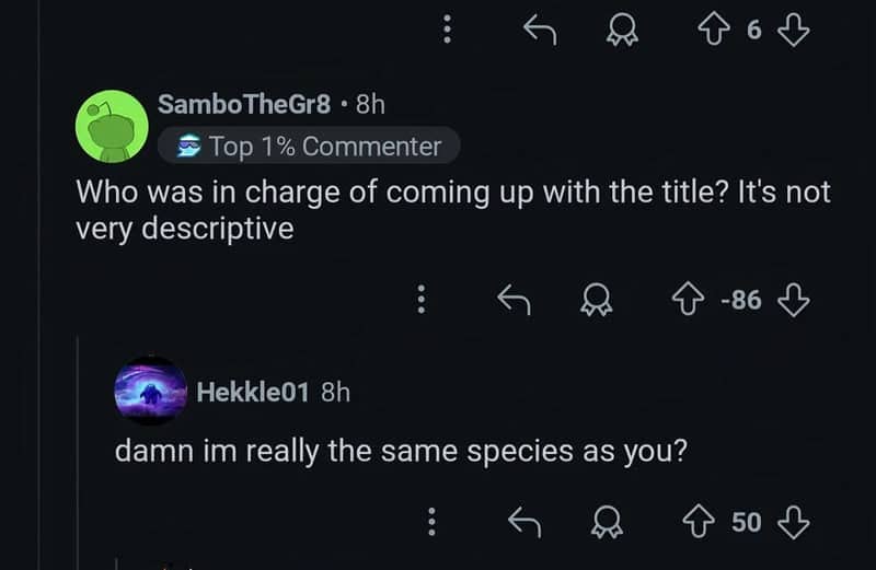 Reddit comment questioning if they belong to the same species as a stupid user.