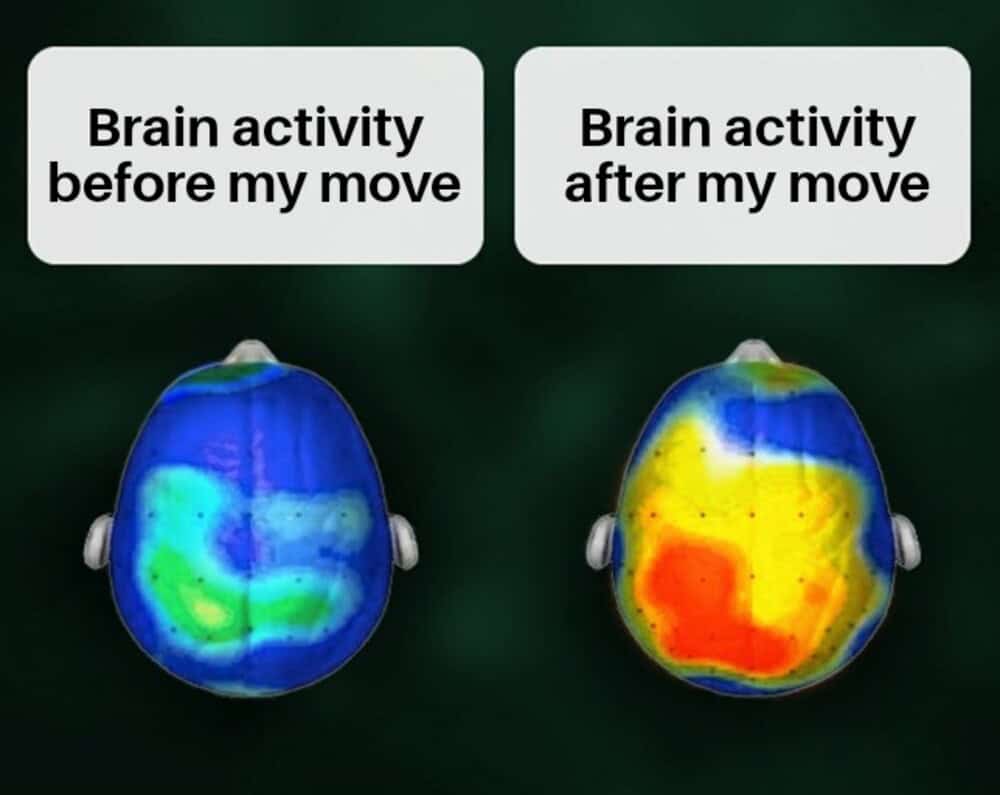 Brain activity heat map contrasting calm thoughts before making a move with full red-hot panic immediately after in a chess meme.