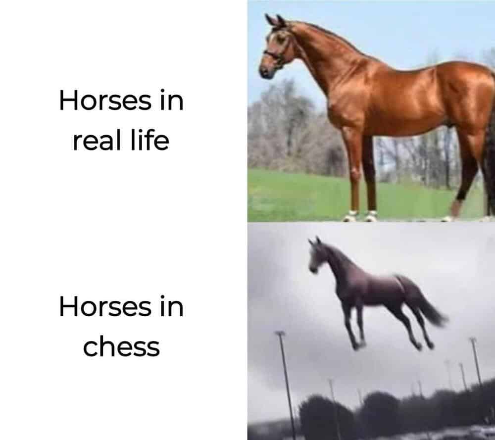 Two-panel comparison contrasting a real horse standing in a field with a floating horse leaping through the clouds in a chess meme.
