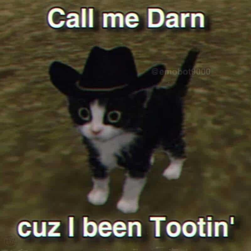 Black-and-white kitten wearing a tiny cowboy hat captioned 'Call me Darn cuz I been Tootin' in an old meme.