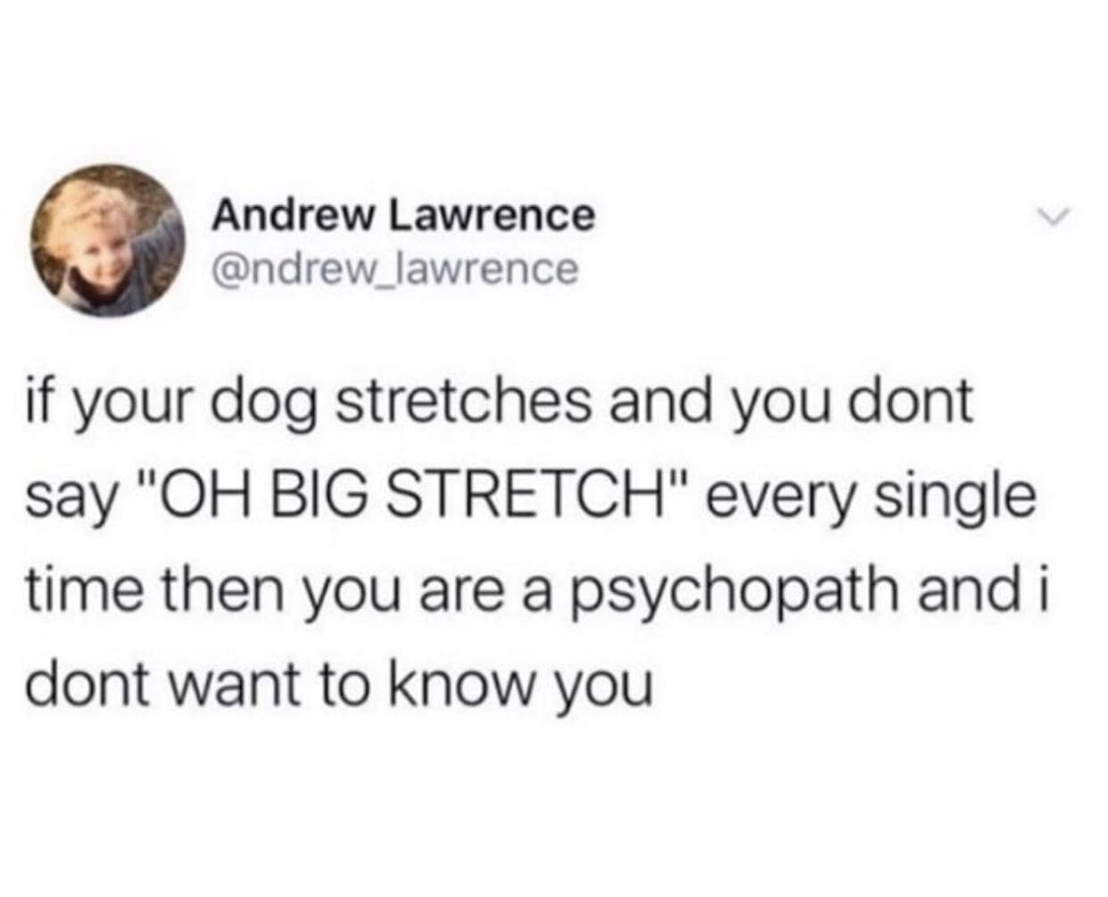 Text tweet declaring anyone who fails to say 'big stretch' to a stretching dog a psychopath in a classic meme.