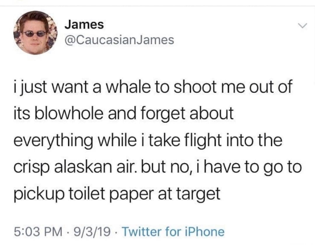 Tweet dreaming about being launched into Alaskan air by a whale blowhole instead of running Target toilet paper errands in a classic meme.
