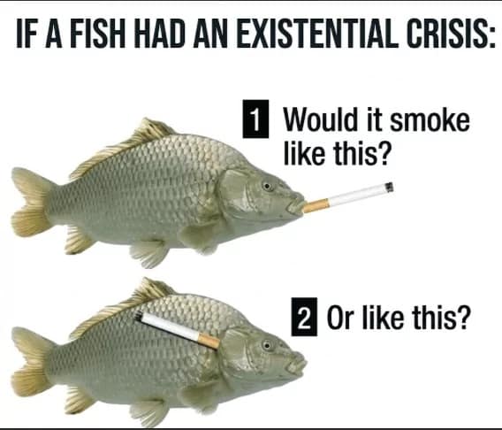 Graphic diagram asking whether a fish in an existential crisis smokes through its mouth or gills in a classic meme.