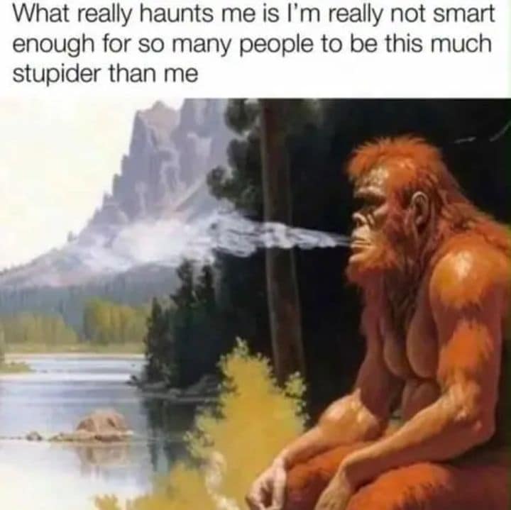 Illustration of Sasquatch exhaling smoke by a wilderness lake contemplating human stupidity in a classic meme.
