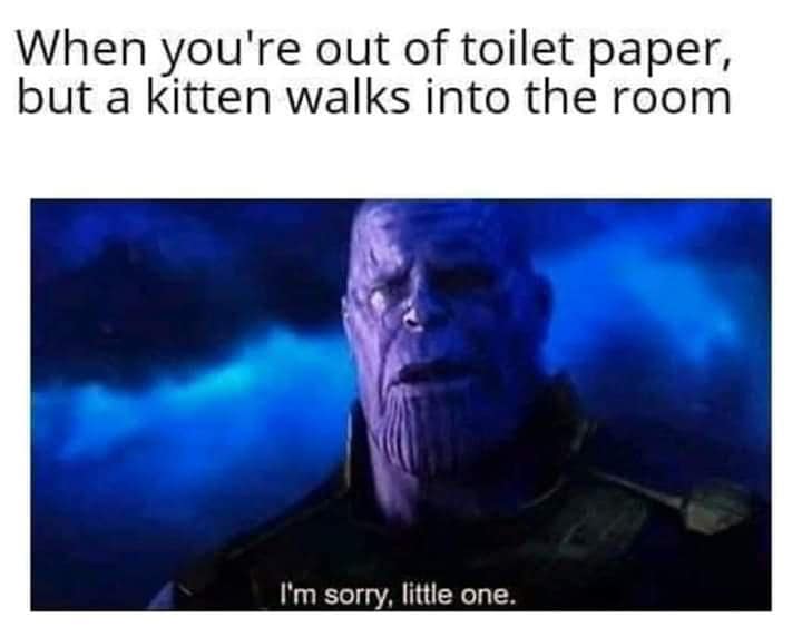 Movie screenshot of Thanos saying 'I'm sorry, little one' applied to running out of toilet paper with a kitten nearby, styled like vintage memes.