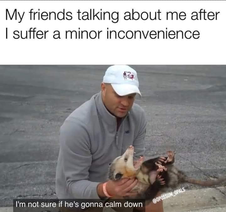 Man holding a wildly thrashing, hissing opossum labeled as friends assessing a minor inconvenience meltdown in a classic meme.