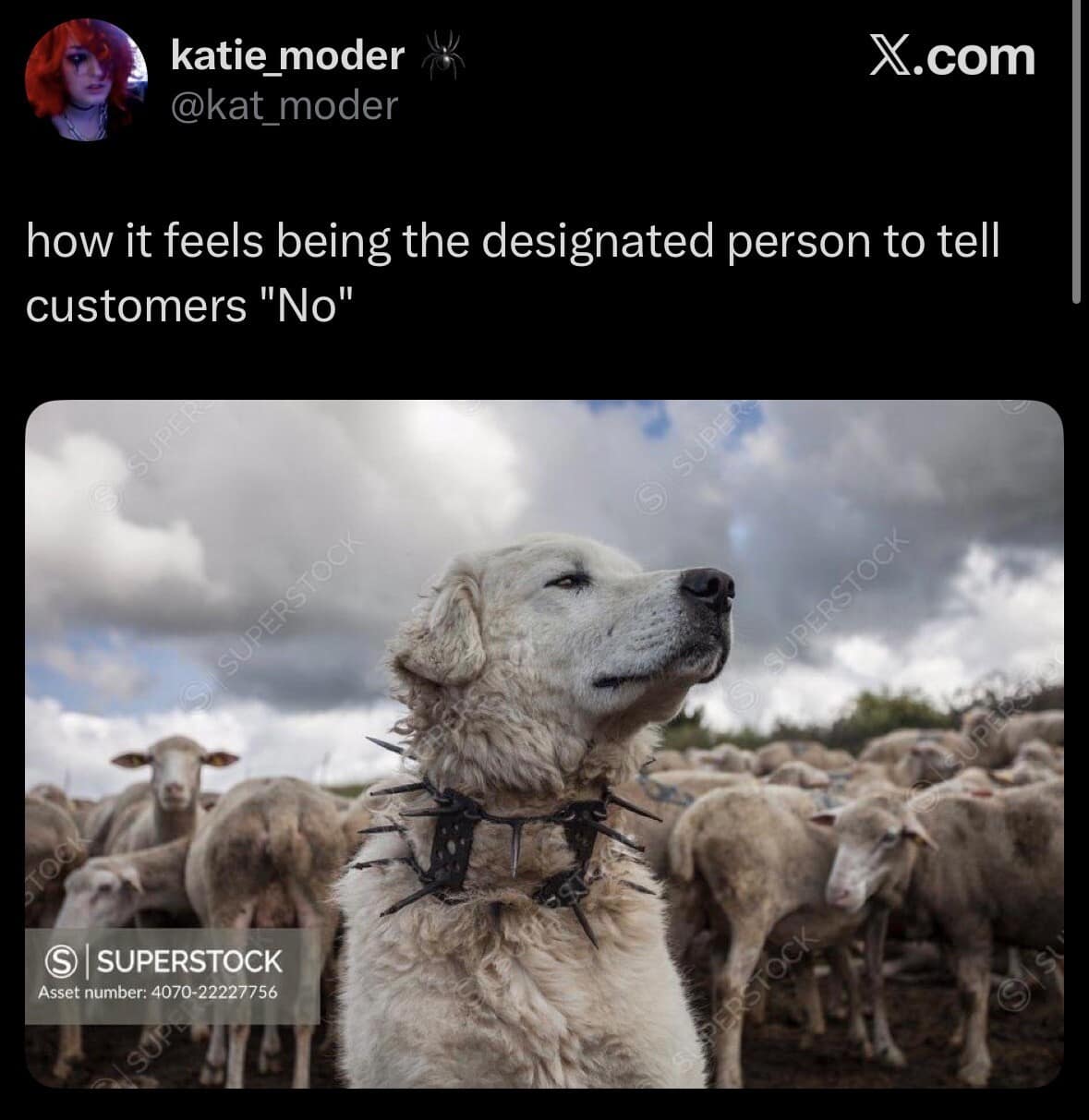A viral tweet featuring a stock photo of a livestock guard dog in a spiked collar guarding sheep, representing customer service enforcers.