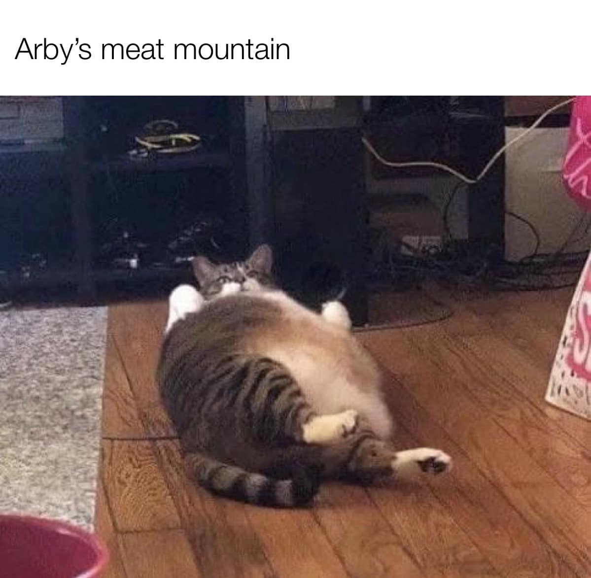 Massively round cat lying flat on its back on a wooden floor labeled as 'Arby's meat mountain' in a classic meme.