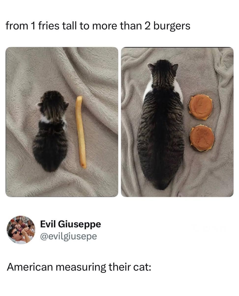 Two-panel photo measuring a growing cat's length from one french fry to two cheeseburgers in an imperial-style classic meme.