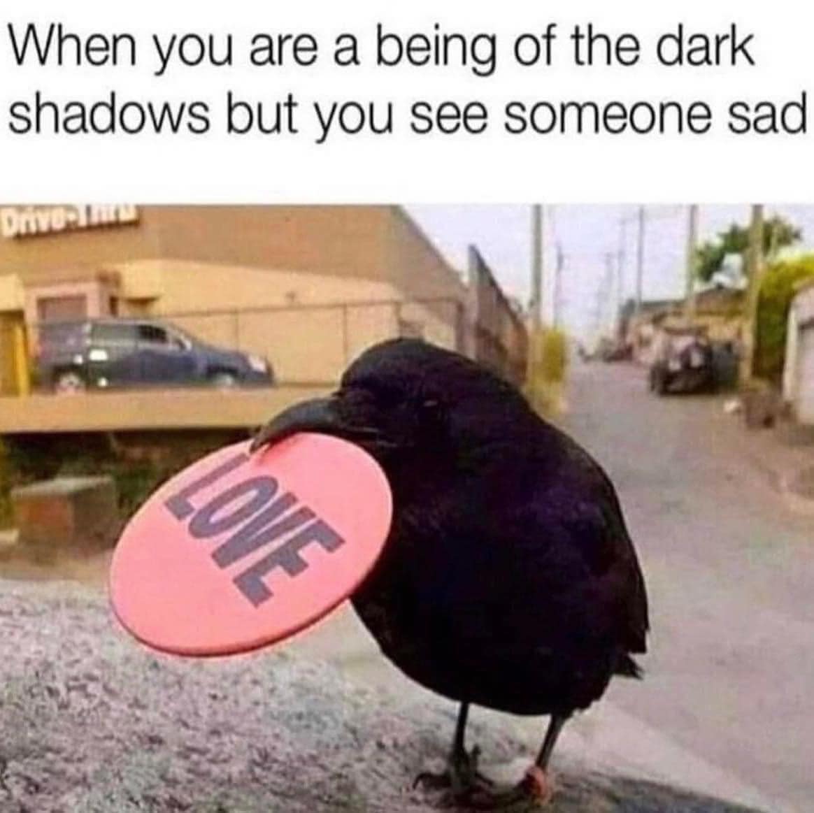 Dark shadow crow carrying a bright pink heart in its beak to cheer up a sad human in a classic meme.