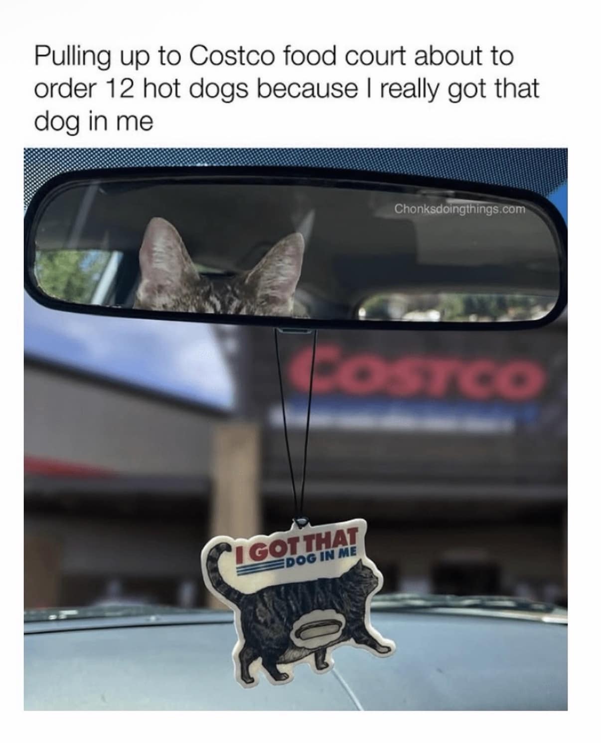 Rearview mirror perspective of a cat pulling up to Costco with an 'I got that dog in me' car air freshener in a classic meme.
