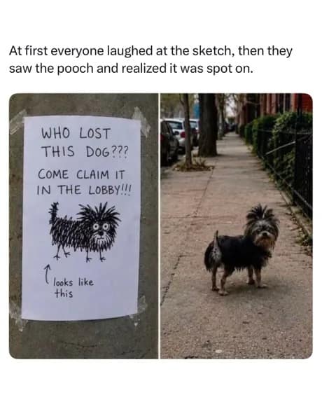 Side-by-side comparison of a crude lost dog poster drawing and the actual scruffy Yorkie terrier found in the lobby, featured in a classic meme.