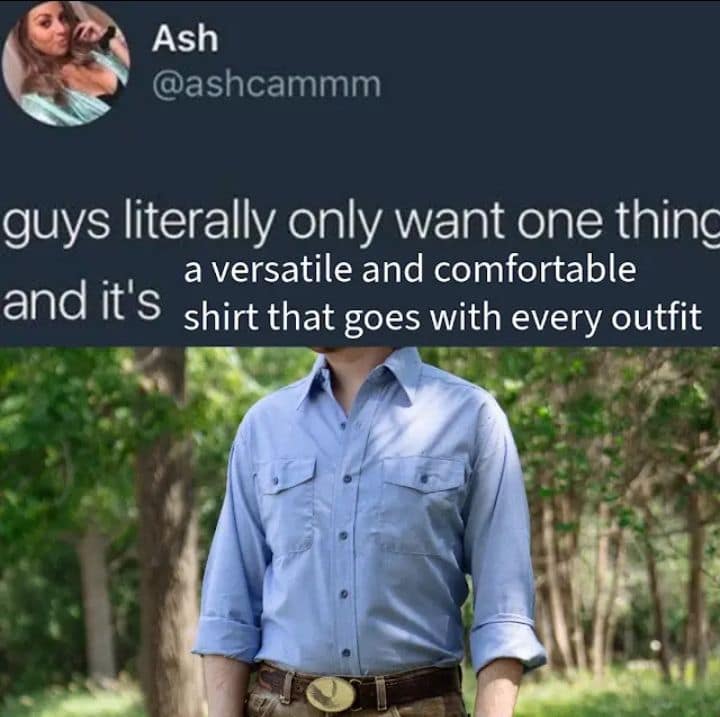 Ash Williams' iconic Evil Dead blue button-down shirt framed as the ultimate male wardrobe aspiration in a classic meme.
