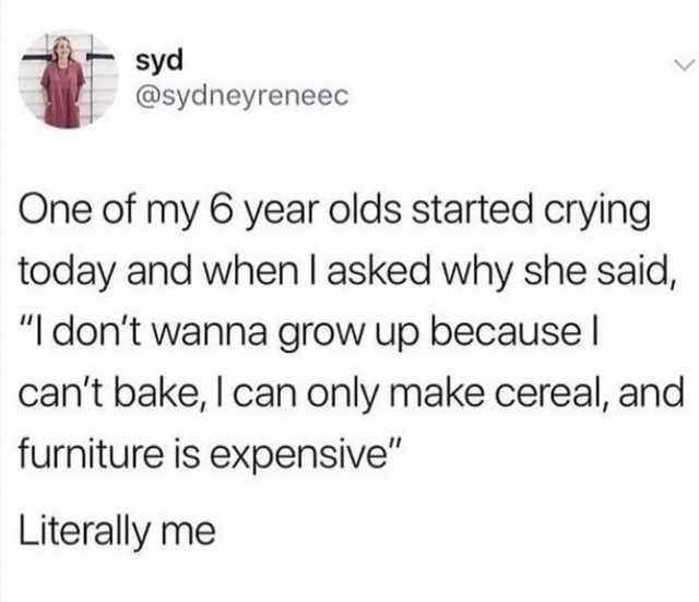 Text tweet describing a 6-year-old crying over poor baking skills and expensive furniture as an accurate adult reality in a classic meme.
