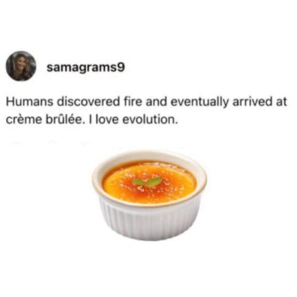 Text post tracing human evolution from the discovery of primitive fire to the creation of crème brûlée in a classic meme.