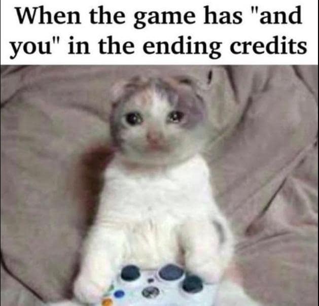 Crying cat with teary eyes holding an Xbox video game controller reacting to ending credits in a classic meme.