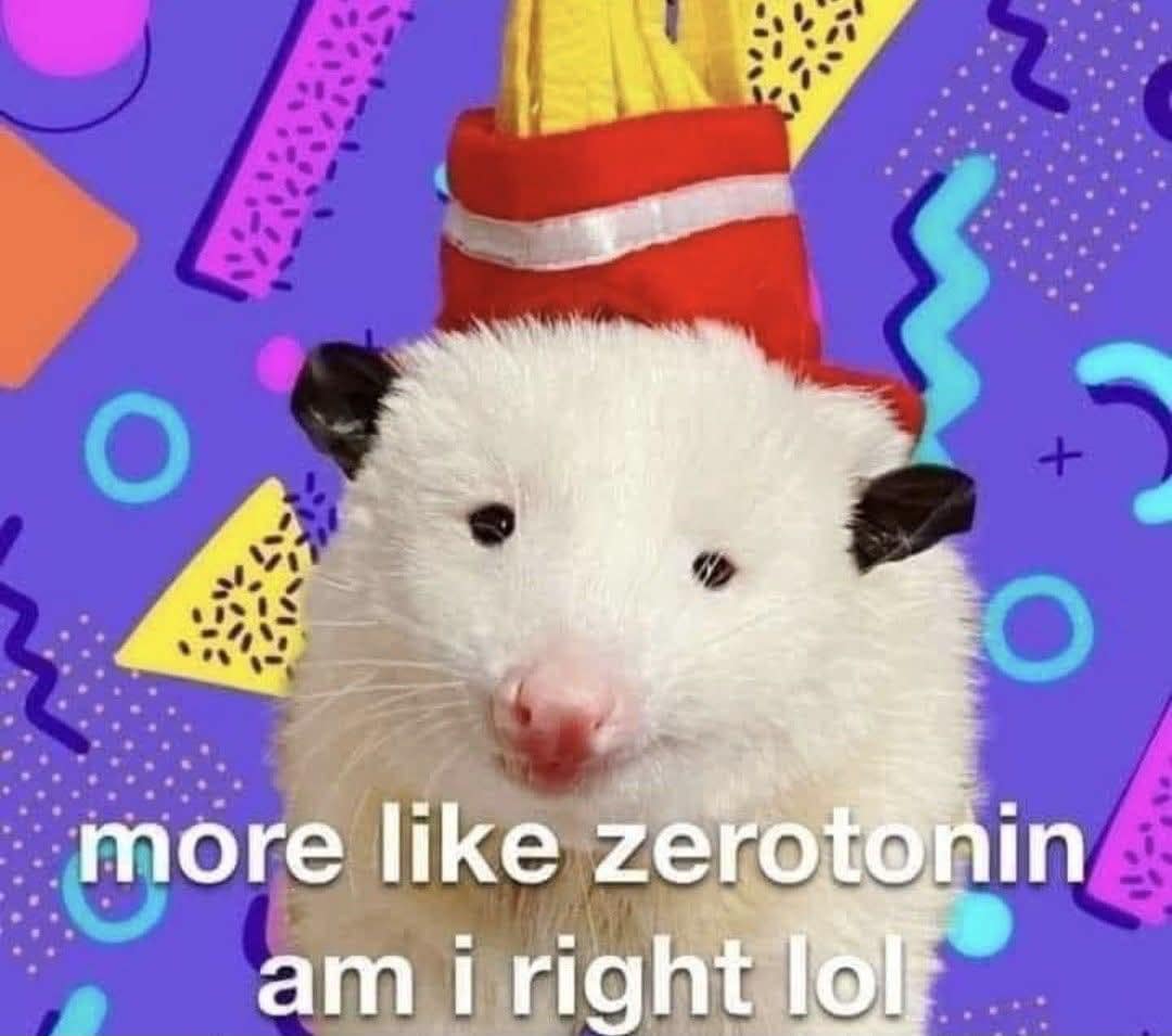 Opossum wearing a party hat on a retro background captioned 'more like zerotonin am i right lol' in an old memes favorite.