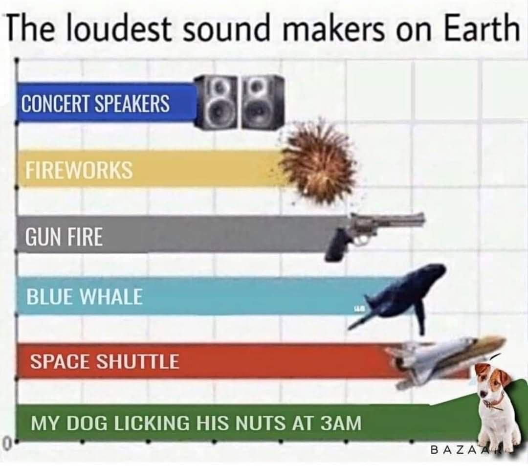 Bar chart ranking the loudest sounds on Earth ending with a dog loudly licking itself at 3 AM in a classic meme.