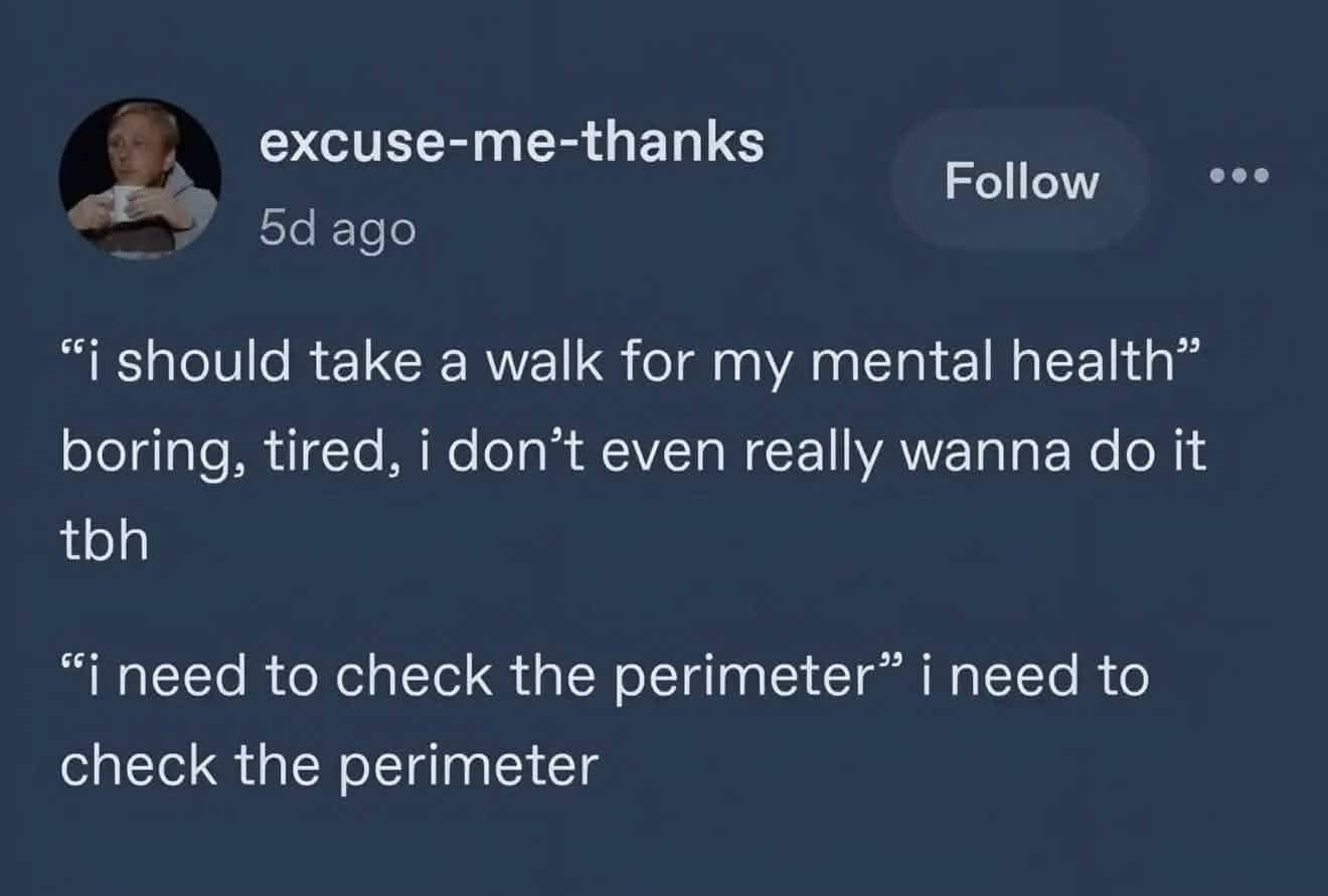 Tumblr text post reframing taking a mental health walk into checking the perimeter in a classic meme.