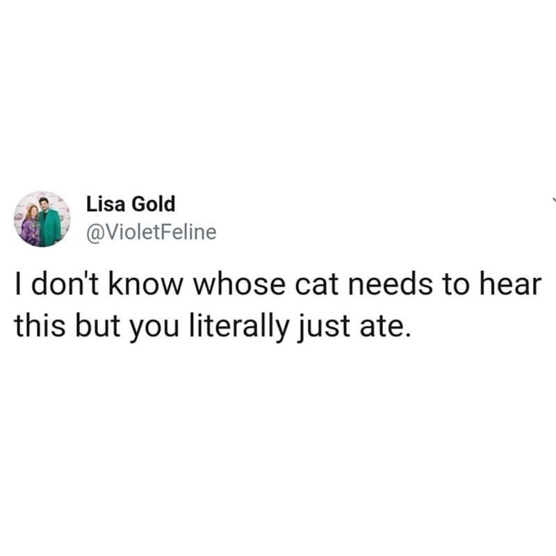 Minimalist tweet from Lisa Gold reminding pet owners that their cat literally just ate, featured as a classic meme.