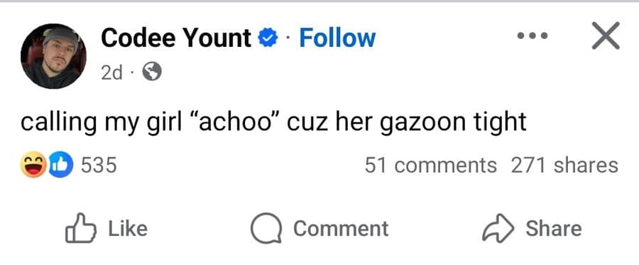 Facebook post featuring a play-on-words pun on gesundheit and sneezes in a classic meme.