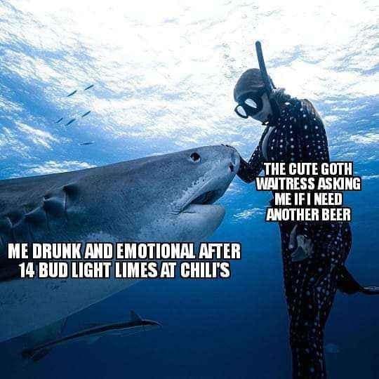 Underwater photo of a diver petting a tiger shark labeled as a drunk patron bonding with a goth Chili's waitress in an old memes image.