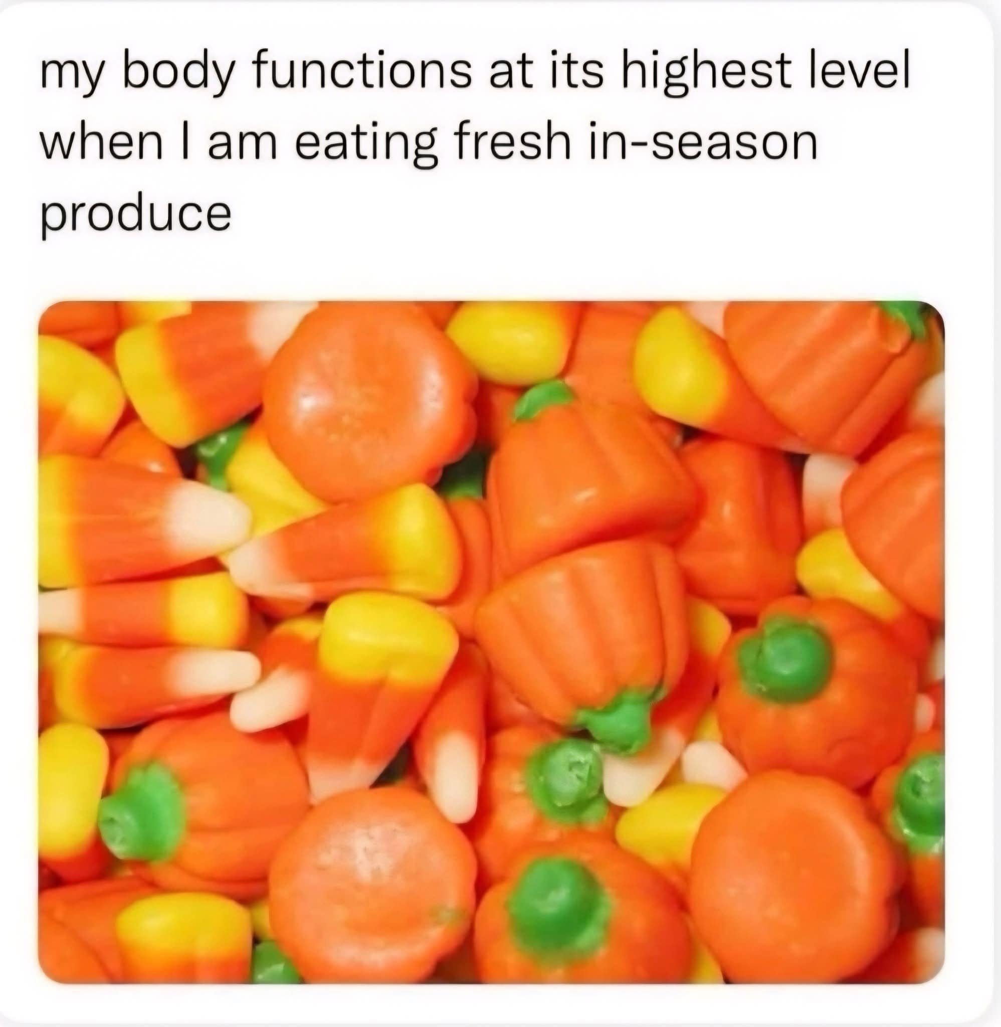 Close-up photo of festive candy corn and autumn pumpkin candies labeled as fresh in-season produce in a classic meme.