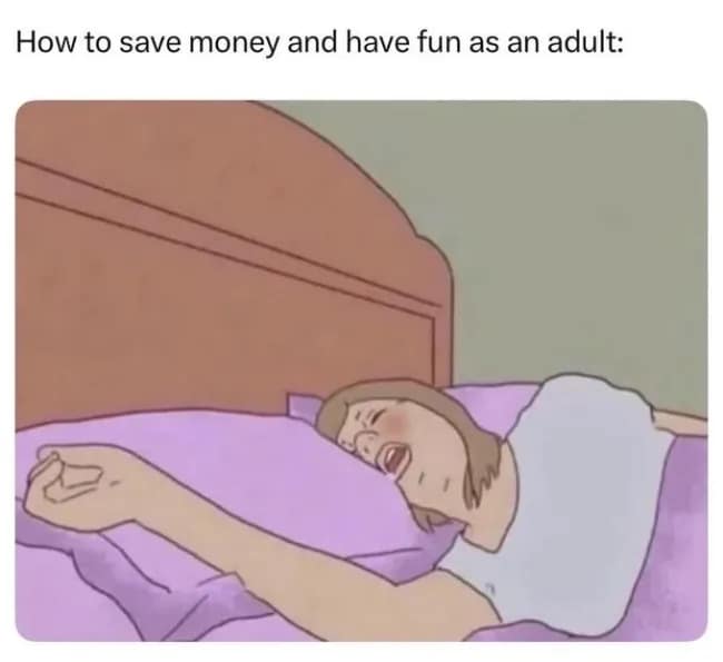 Drawing of a person passed out snoring in bed presented as the ultimate free adult hobby in an old memes post.