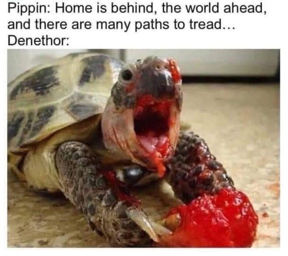 Savage tortoise messily eating a red strawberry paired with a Lord of the Rings Denethor eating scene joke in a classic meme.