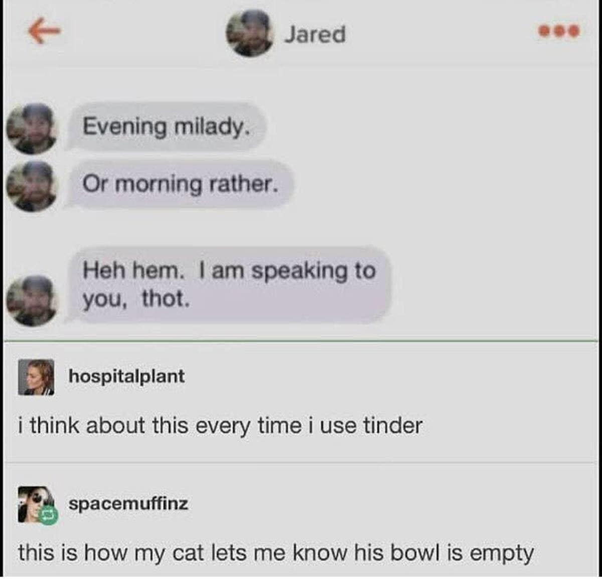 Unhinged Tinder messages starting with "Evening milady" and escalating to "I am speaking to you, thot," commented on as cat behavior in a classic meme.