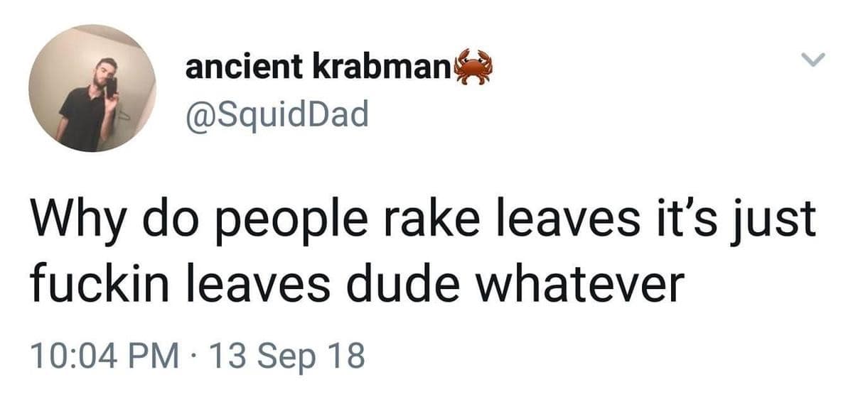 Text tweet questioning the societal chore of raking autumn leaves off the grass in a classic meme.