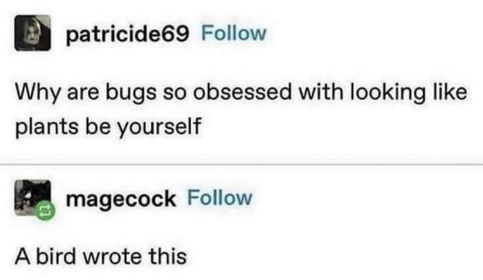 Tumblr thread questioning why insects camouflage as plants, hilariously called out as propaganda written by a bird in an old memes screenshot.