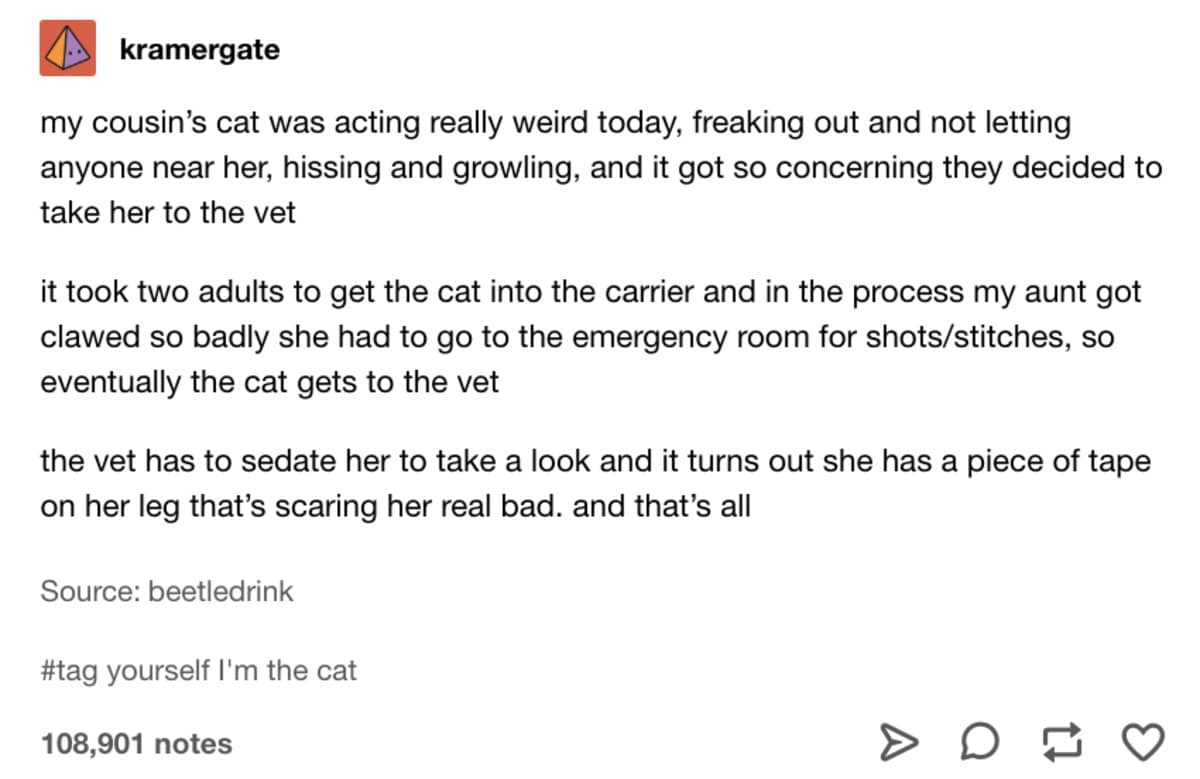 Tumblr post telling a chaotic story about a cat causing a hospital visit before the vet discovered a single piece of tape on its leg in a classic meme.