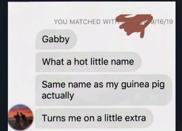 Cursed dating app match messages where a guy reveals his date shares the same name as his guinea pig in a classic meme.