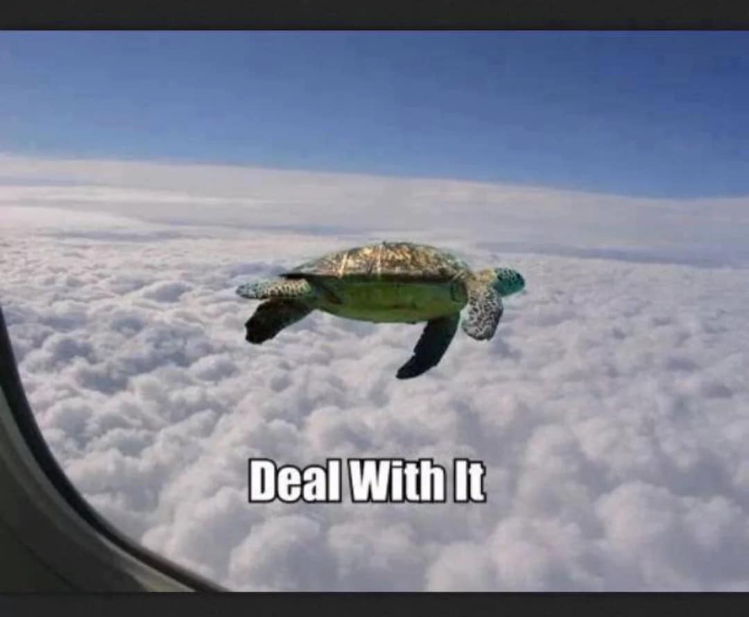 Flying sea turtle soaring through clouds outside an airplane window with the caption 'Deal With It' in a vintage memes style.