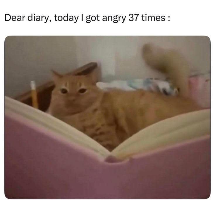 Orange tabby cat reading an open pink diary with text summarizing getting angry 37 times today in a classic meme.