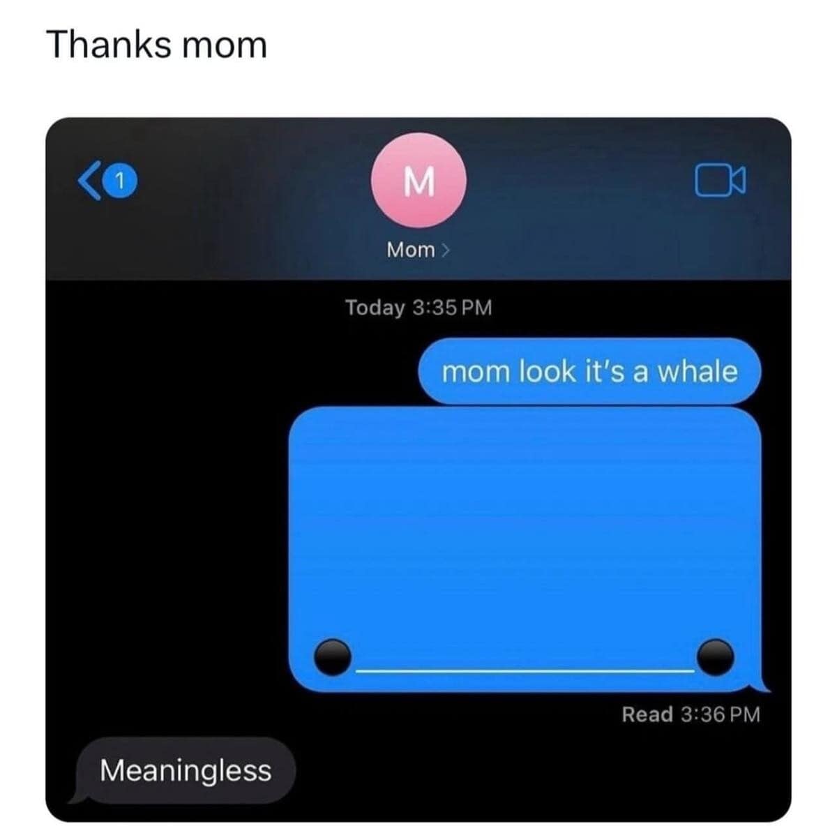 Text message screenshot showing a large blue chat bubble drawn to look like a whale, met with a brutal single-word reply "Meaningless" from mom in a classic meme.