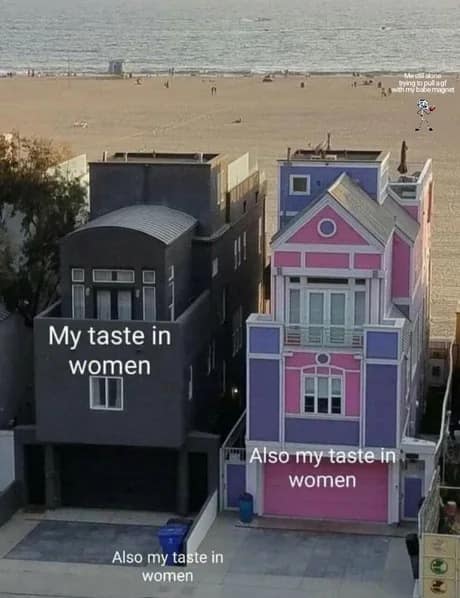 Side-by-side Santa Monica beach houses showing a dark minimalist black building next to a bright pink house as conflicting dating tastes in an old meme.