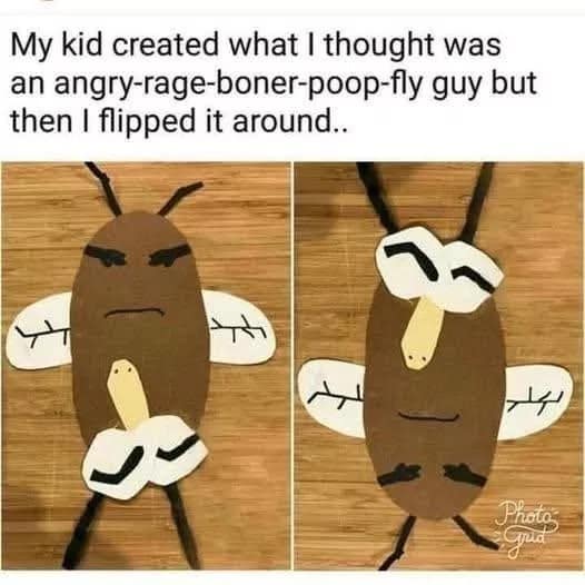 Paper craft fly made by a child that looks inappropriately hilarious when turned upside down in a classic meme.