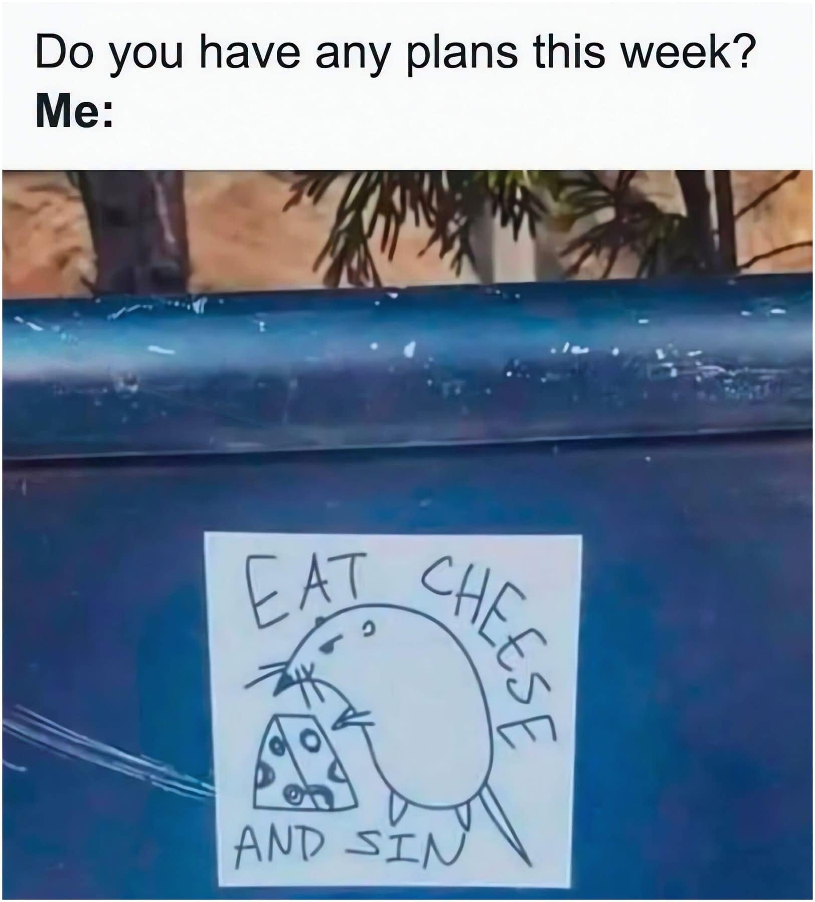 Dumpster decal featuring a cartoon rat eating a block of cheese with the motto 'EAT CHEESE AND SIN' in an old memes post.