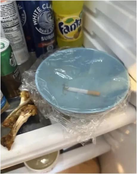 Unhinged photo of a refrigerator shelf containing half-eaten chicken bones and a single cigarette saved in a plastic-wrapped bowl, featured as a classic meme.