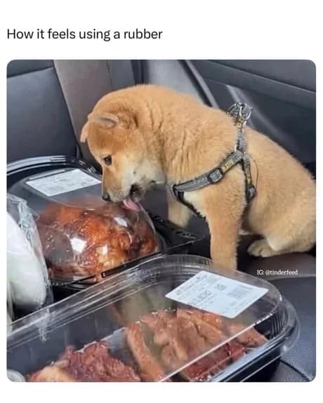 Shiba Inu puppy attempting to lick a rotisserie chicken through its plastic takeout container in a classic meme.